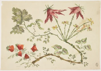 Ornament, Chinoiserie, Bloemen, 30 juni 1760